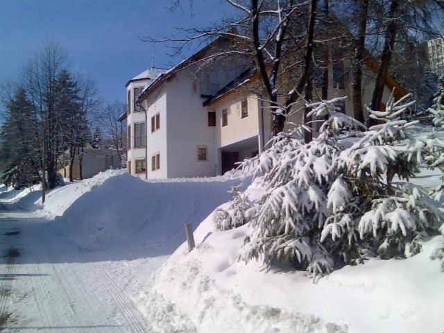 Ferienwohnung Alte Poststrasse Обервиезентал Екстериор снимка